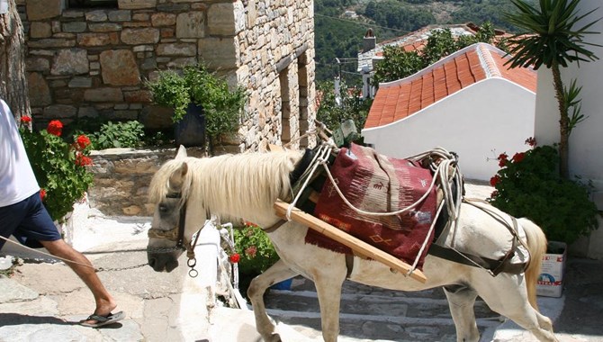 Sailing in Sporades