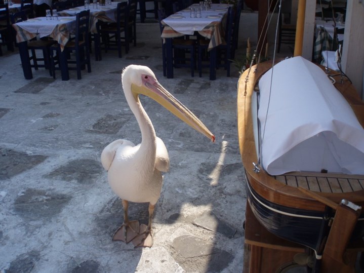 petros at mykonos alleys